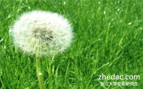 浙江大學同等學力申碩通過率怎么樣?高不高